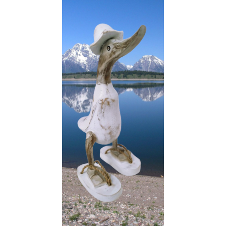 canard white wash