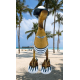 canard beach femme