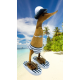 canard beach femme