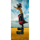 canard zorro
