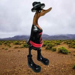 canard zorro