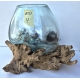 vase ou aquarium 10-4