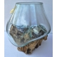 vase ou aquarium 10-3