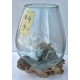 vase ou aquarium 4-3