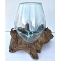 Vaso o acuario 81